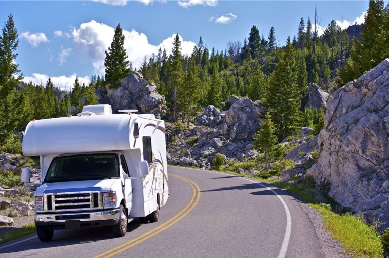 RV driving by trees on a sunny day.